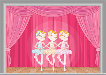 Swan Lake © Anna Velichkovsky