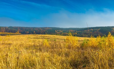 Fototapeta premium Beautiful autumnal landscape with grassland and trees