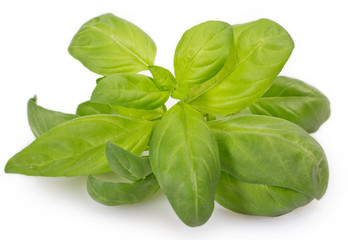 Fresh basil