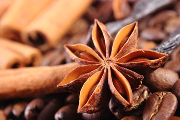 Closeup of anise, vanilla, cinnamon sticks and coffee grains, ingredients for cooking or baking