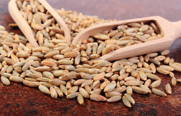 Heap of rye grain with wooden spoon