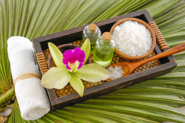 Fototapeta na wymiar Green palm leaf background- Health spa
