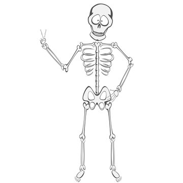 Skeleton Buddy - A funny skeleton standing and showing victory sign 