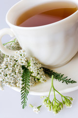 Achillea millefolium plant with flowers / fresh Yarrow tea - herbal homemade remedy © Michaela Jílková