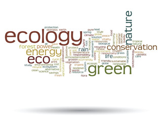 Vector conceptual ecology word cloud isolated