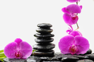 Fototapeta na wymiar Set of pink orchid and thin bamboo, stacked stones on wet back stones