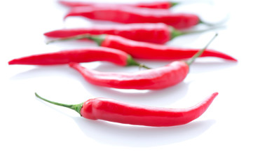 Hot red chili or chilli pepper on white background