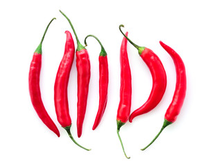 Hot red chili or chilli pepper isolated on white background