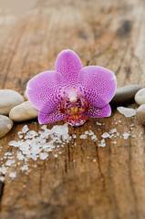 pink orchid and stones with pile of salt on old wood texture