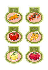 Set of vector labels with vegetables. Vector.