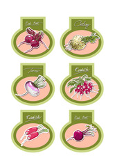 Set of vector labels with vegetables. Vector.
