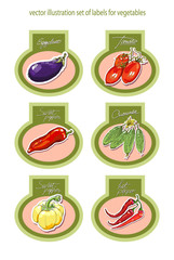 Set of vector labels with vegetables. Vector.