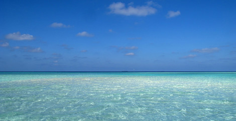 Maldives reef
