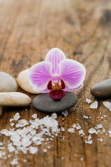 Fototapeta na wymiar orchid and stones ,pile of salt on old wood texture