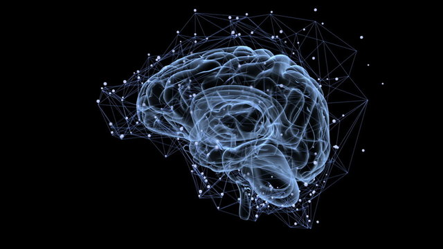 Animation illustrating the thought processes in the brain