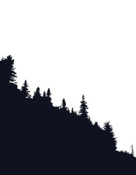 Forest silhouette