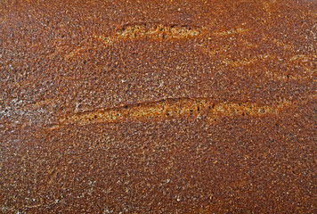 Rye bread texture