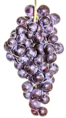 grappe de raisin muscat  sur fond blanc