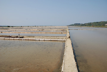 Salt Crystallization Fields at Seca, Slovenia
