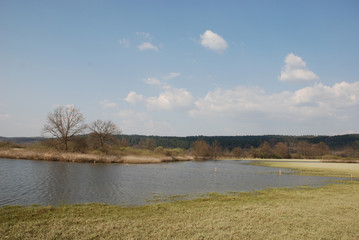 Planina Wetland