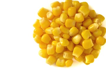 とうもろこし　白背景