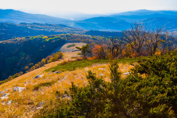 misty autumn mountain scene