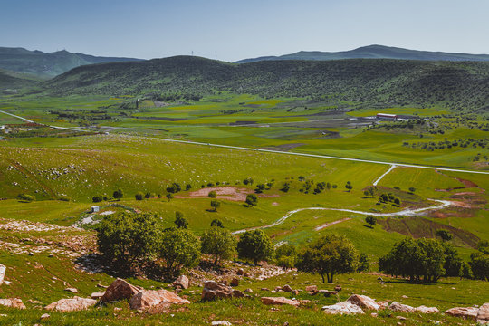 Spring season In Iraqi landscape near Kirkuk city