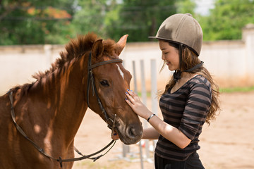 Stroking pony