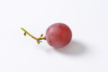 Red seedless grape