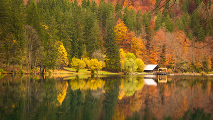 Autumn morning in the alps
