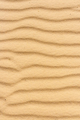 Fototapeta na wymiar background of the Sinai desert sand