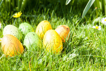 colored Easter eggs hidden in flowers and grass