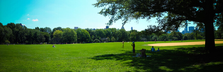 Obraz premium Central park of New York