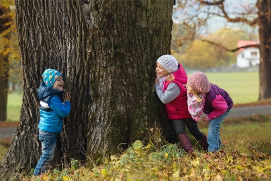 Children Playing Hide And Seek