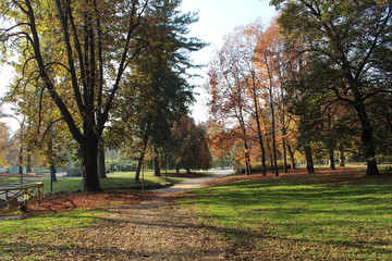 Walking in the park Sempione in Milan in a sunny autumn day