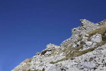 rovine