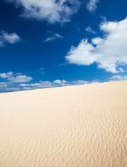 natural dune background