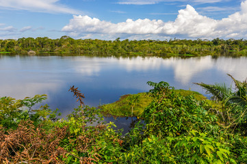 View of the lake in the Amazon Rainforest, Manaos, Brazil