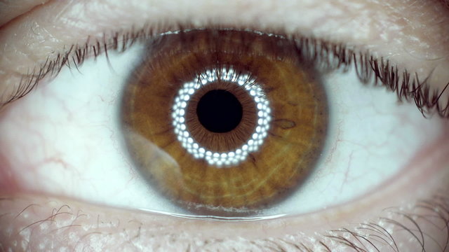 Macro extreme cu eye iris, pupil, contracting, slow motion