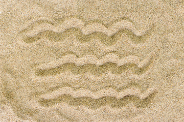 Seamless texture of sand beach. Sand background template. Sand b