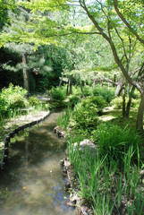 Fototapeta na wymiar Heian-Jing Shrine Gardens, Kyoto
