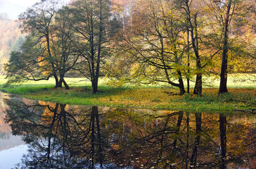 Bäume am Fluß im Herbst - Natur und Jahreszeit