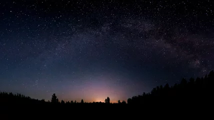 Photo sur Plexiglas Nuit Ciel nocturne au-dessus de la forêt