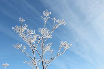 Snow-covered blade against the blue sky in the winter