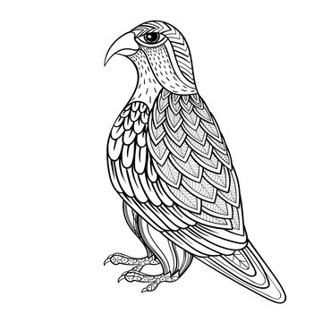 Zentangle vector Falcon, bird hawk of prey, predatory for adult