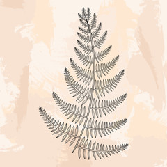 Zentangle vector male Fern for tattoo in boho, hipster style. Or