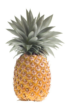 fresh Florida pineapple isolated on white
