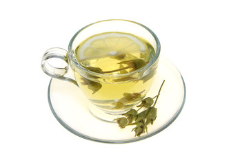 Herbal tea, sage leaves and lemon slice isolated on white background
