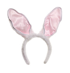 Easter bunny ears - 96095813