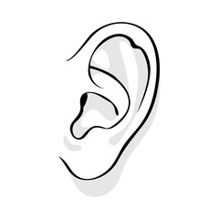 Human ear vector illustration.
